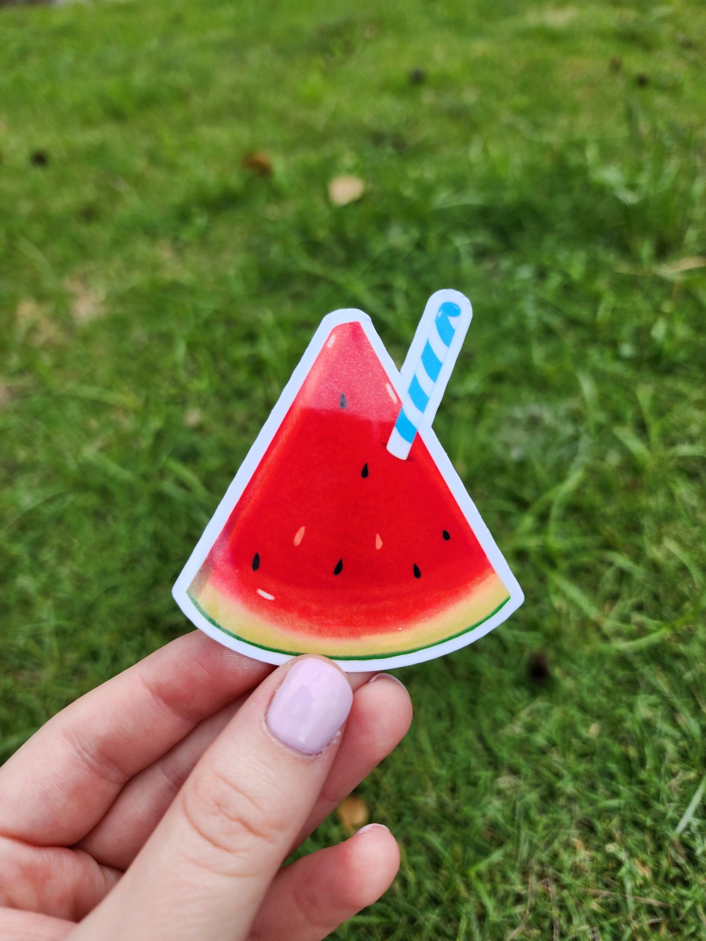 Freshmelon Sticker